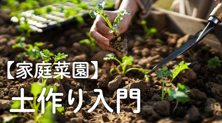 【家庭菜園】土作り入門