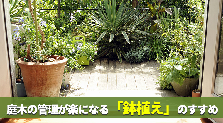 庭木の管理が楽になる「鉢植え」のすすめ