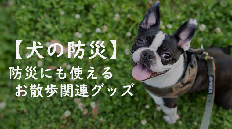 【犬の防災】　防災にも使えるお散歩関連グッズ