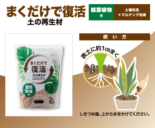 観葉植物用