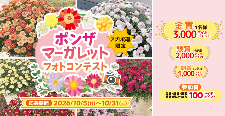 ボンザマーガレットフォトコンテスト【アプリ応募限定】