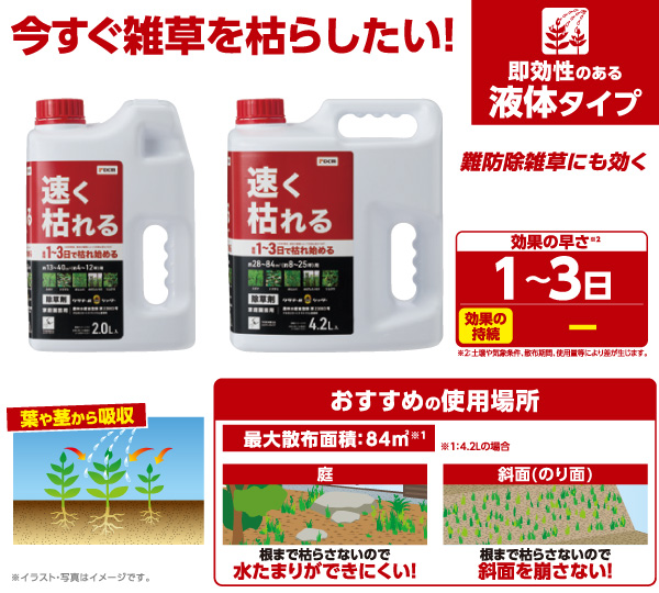 速く枯れる除草剤