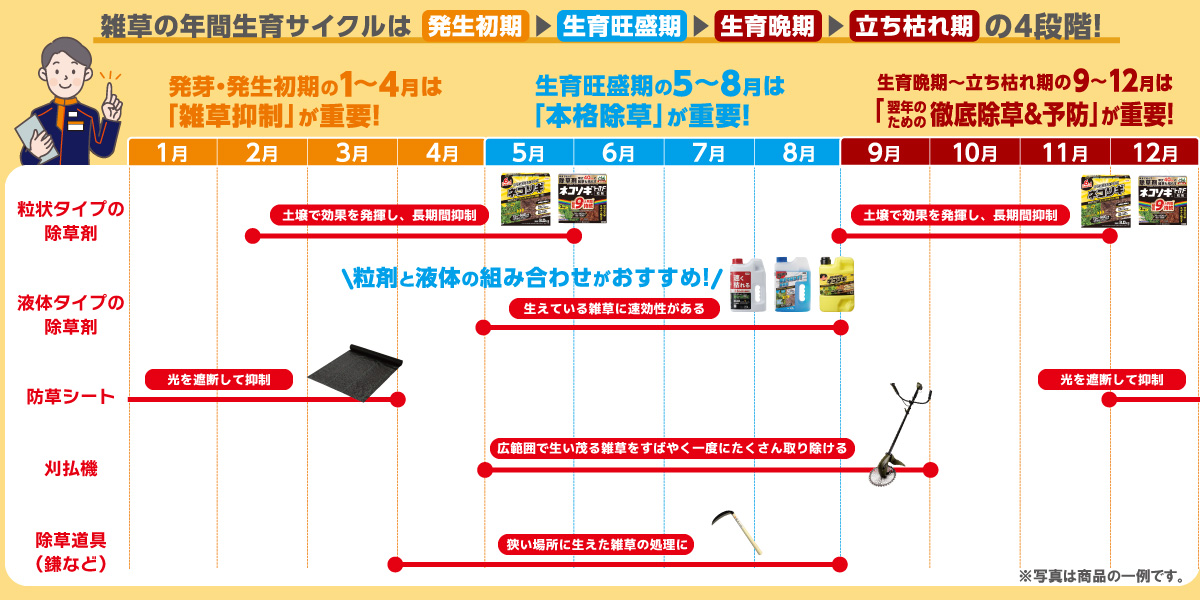 雑草対策年間カレンダー！