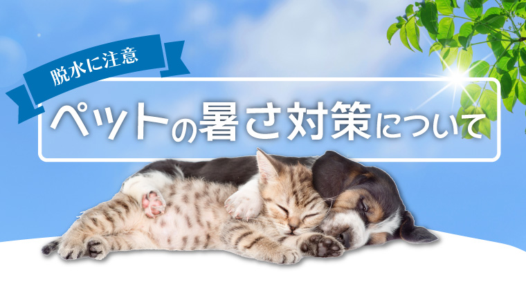 ペットの暑さ対策について
