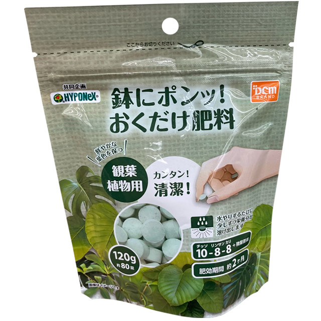 ＤＣＭ 鉢にポンッ！おくだけ肥料　観葉植物用　120g