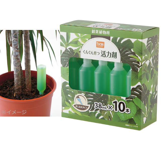 ＤＣＭ ぐんぐん育つ活力剤　観葉植物用　挿し込みタイプ