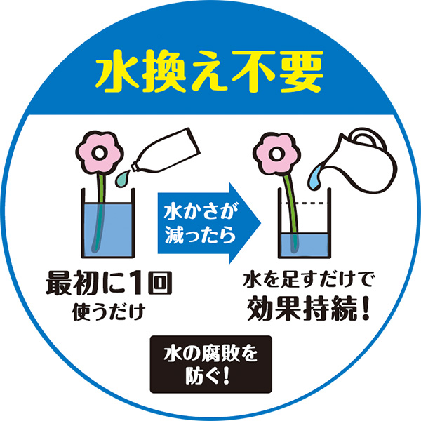 水換え不要