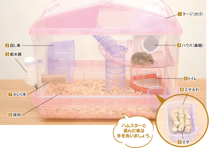 ハムスター飼育に必要なもの