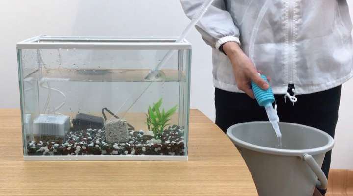 金魚の飼い方　水の取り替え
