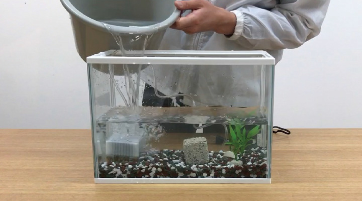 金魚の飼い方　水の取り替え
