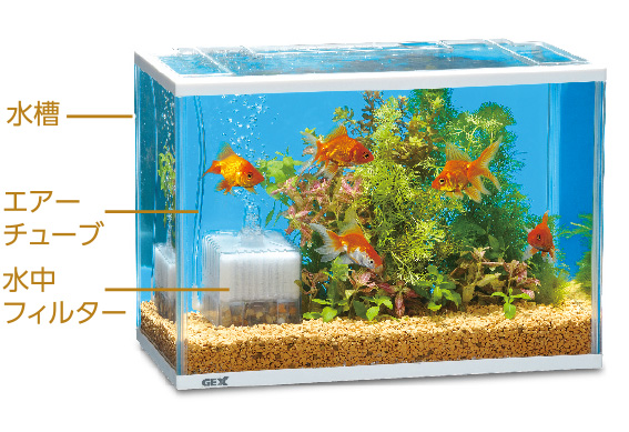 金魚の飼い方　飼育用付属器具