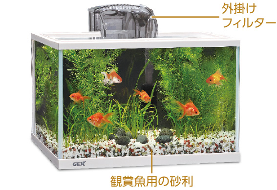 金魚の飼い方　飼育用付属器具