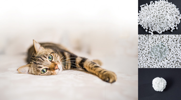 ＤＣＭ 固まる猫砂