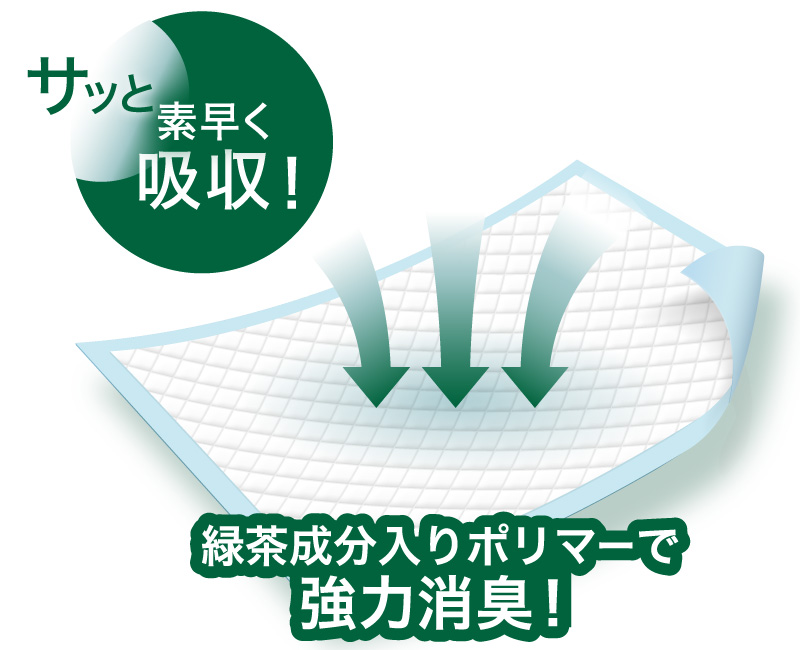厚型ペットシーツシリーズのおしっこ吸収の目安